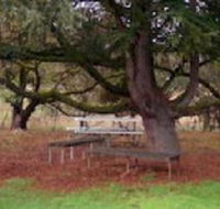 Auburn Shiraz Motel - Great Ocean Road Tourism