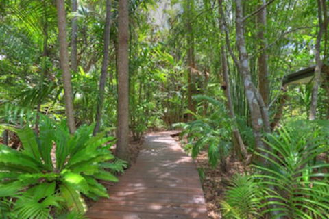 Montville Grove - Great Ocean Road Tourism 0