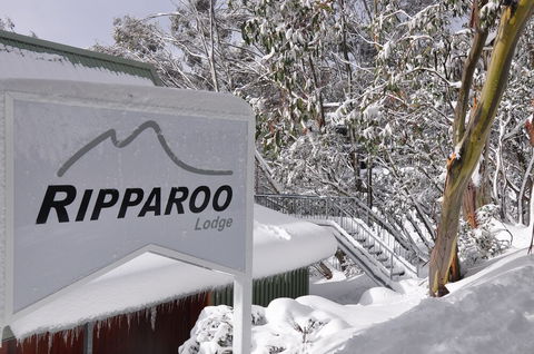 Ripparoo Ski Lodge - Great Ocean Road Tourism 1