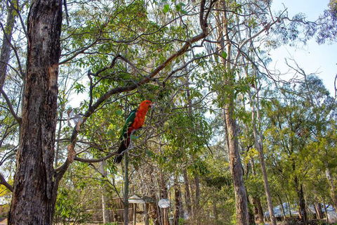 Kalimna Woods Cottages - Great Ocean Road Tourism 2