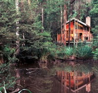 Woodlands Rainforest Retreat - Great Ocean Road Tourism