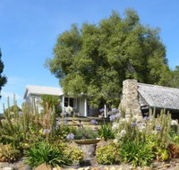 Sassafras Springs
