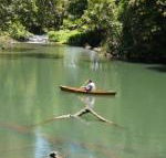 Figtree Getaway - Great Ocean Road Tourism