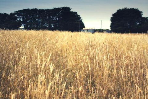 Galwiji Homestead - Great Ocean Road Tourism 6