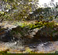 Green Gully House - Great Ocean Road Tourism
