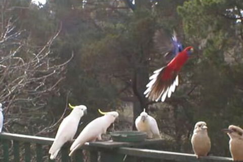 Mooltan House-hepburn Springs - Great Ocean Road Tourism 3