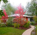 Dalrymples Guest Cottages - Great Ocean Road Tourism