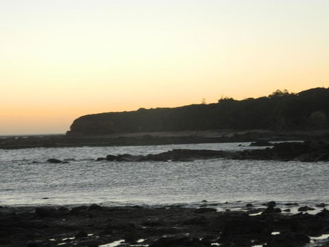 Cape 28 - Great Ocean Road Tourism 7