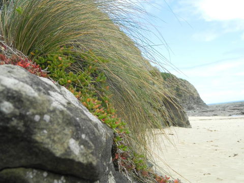 Cape 28 - Great Ocean Road Tourism 5