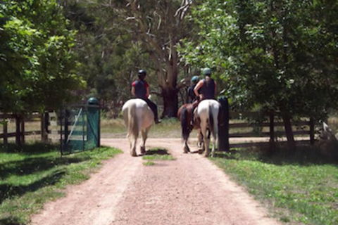 Halls On Falls Homestead - Great Ocean Road Tourism 3