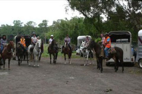 Happy Days Accommodation - Great Ocean Road Tourism 2
