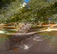 Glencoe Country BB - Great Ocean Road Tourism