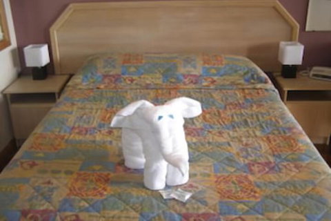 Koala Tree Motel - Great Ocean Road Tourism 5