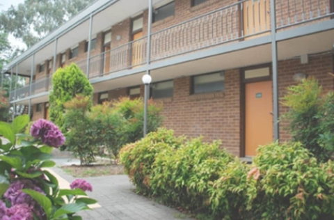 Red Cedars Motel - Great Ocean Road Tourism 3