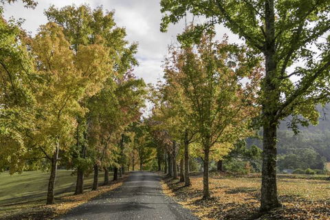 Clarendon Forest Retreat - Great Ocean Road Tourism 1