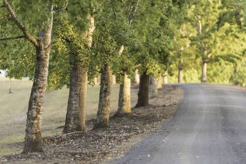 Clarendon Forest Retreat - Great Ocean Road Tourism 3