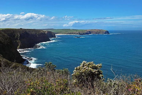 Woodland By The Bay & Puddleduck Cottage - Great Ocean Road Tourism 5