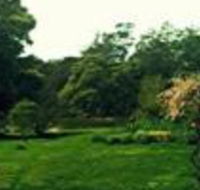 Birdwing Bed  Breakfast Weegena - Great Ocean Road Tourism
