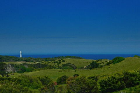 Island Breeze Motel - Great Ocean Road Tourism 2