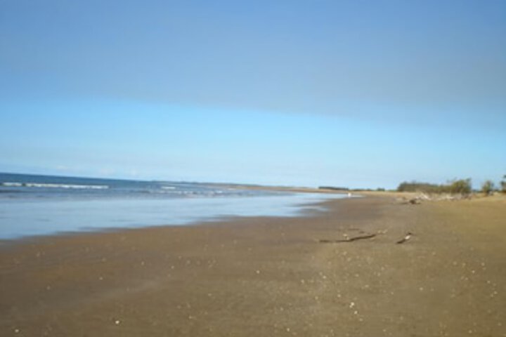 Moore Park Beach QLD Great Ocean Road Tourism