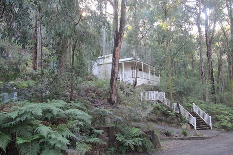 Myers Creek Cascades Luxury Cottages - Great Ocean Road Tourism 3