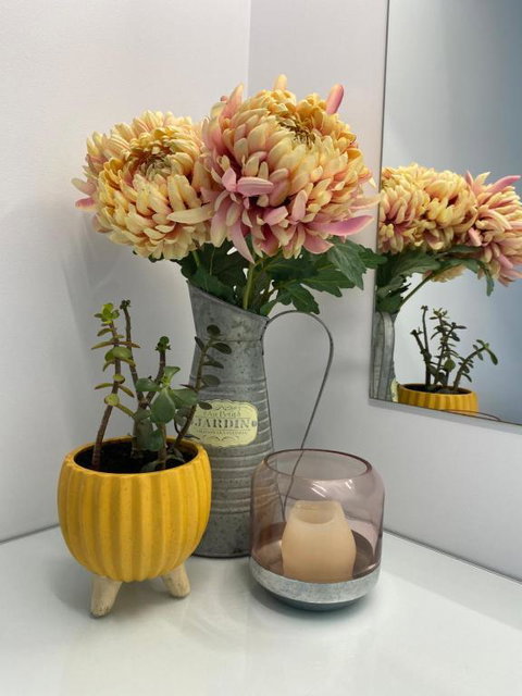 McCaffreys Estate - Great Ocean Road Tourism 5