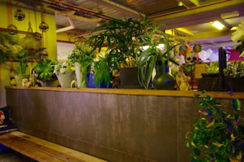 Sow And Piglets Guesthouse - Great Ocean Road Tourism 0