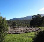 Hawksview at Mafeking - Great Ocean Road Tourism