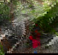 12 Apostles Cottages - Great Ocean Road Tourism