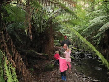 12 Apostles Cottages - Great Ocean Road Tourism 0