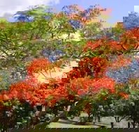 Eastwood Farm - Great Ocean Road Tourism