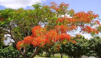 Eastwood Farm - Great Ocean Road Tourism 0