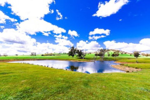 Hillview Farmstay - Great Ocean Road Tourism 0
