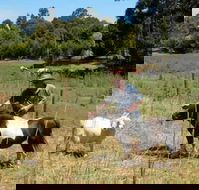 Country Cottages of Bridgetown - Great Ocean Road Tourism