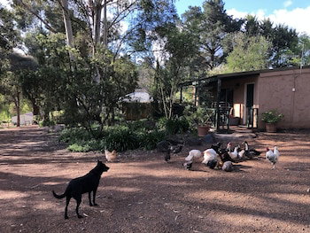 Country Cottages Of Bridgetown - Great Ocean Road Tourism 1