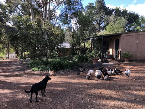 Country Cottages Of Bridgetown - Great Ocean Road Tourism 4
