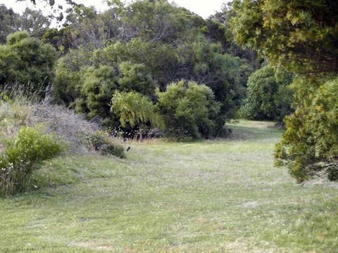 Absolute Waterfront Cottage - Great Ocean Road Tourism 3