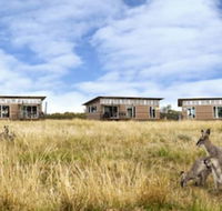 Savannah Cabins - Great Ocean Road Tourism