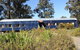 Krinklewood Cottage & Train Carriages - thumb 6