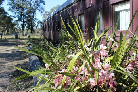 Krinklewood Cottage & Train Carriages - Great Ocean Road Tourism 2