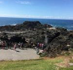 Sea Whispers - Great Ocean Road Tourism