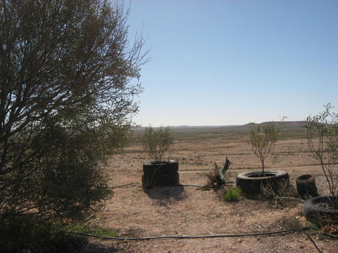 Venushill B+B - Great Ocean Road Tourism 6