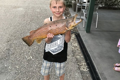 Eildon Pondage Holiday Park - Great Ocean Road Tourism 0