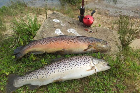 Eildon Pondage Holiday Park - Great Ocean Road Tourism 4