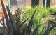 Mulwala Paradise Palms Motel - thumb 3