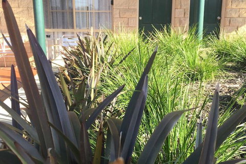 Mulwala Paradise Palms Motel - Great Ocean Road Tourism 3