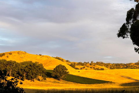 Dairymans Cottage - Great Ocean Road Tourism 6