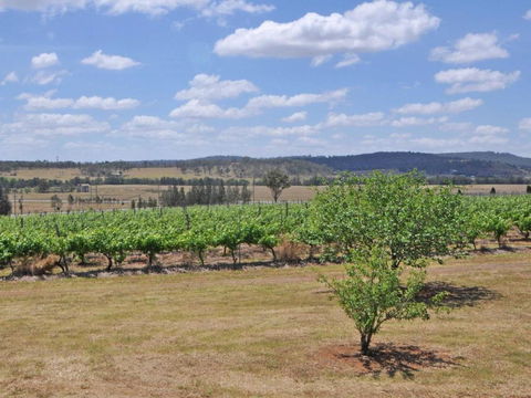 Beggars Bridge Vineyard Homestead W / Pool + Wifi + Tennis + Vineyard - Great Ocean Road Tourism 2