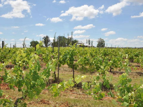 Beggars Bridge Vineyard Homestead W / Pool + Wifi + Tennis + Vineyard - Great Ocean Road Tourism 1