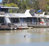 Murray Bridge Caravan Park - Great Ocean Road Tourism